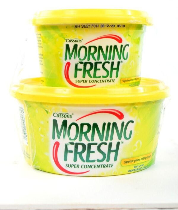 Morning Fresh Dishwashing paste 400g neoking